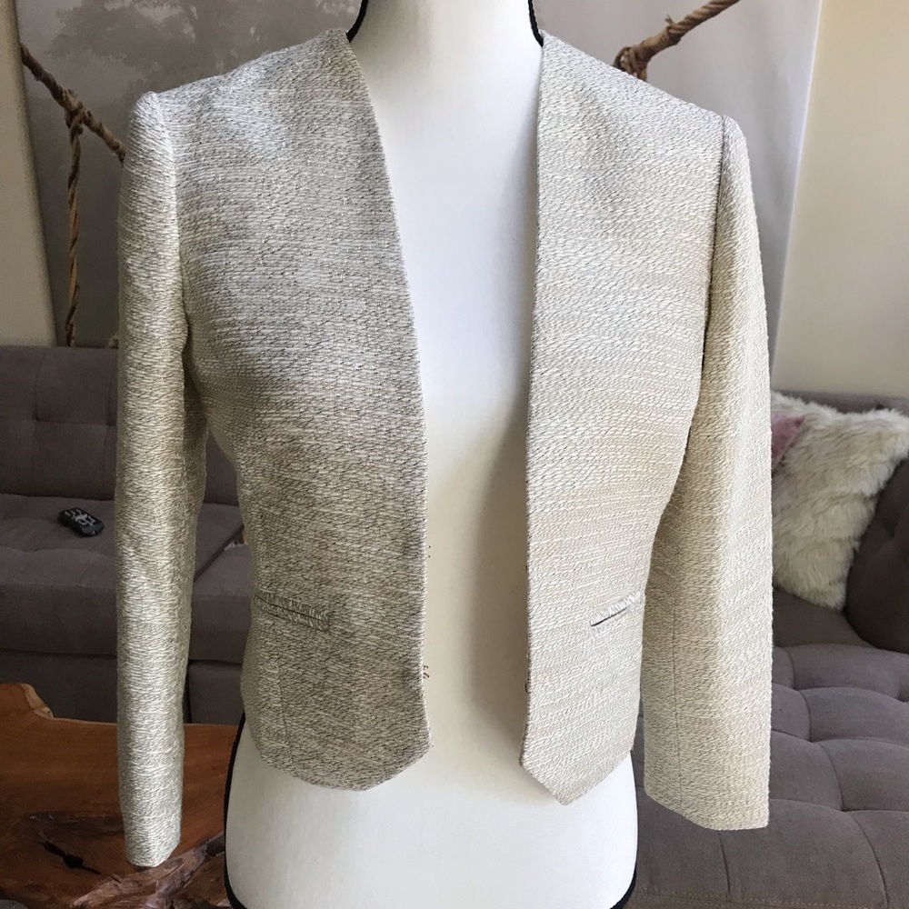 Ann Taylor Metallic Blazer
